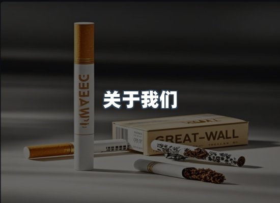 专业团队